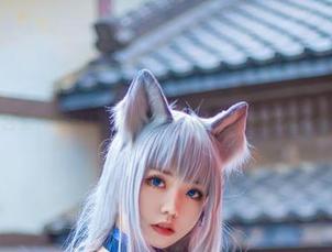 忍者喵喵合集：啊日日_Ganlory的猫版刺客潜入你的心房！